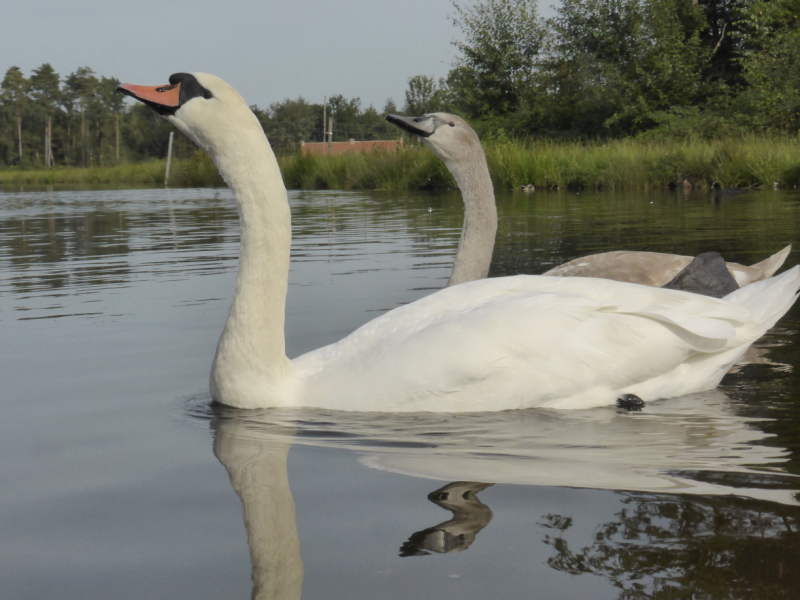 Wandeling Kiewit-Boktrijk 21 september 2021